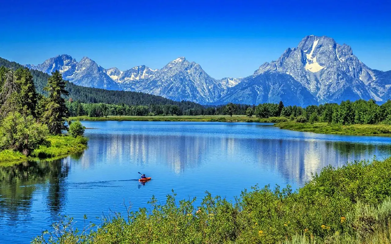 高标准全自动数字化